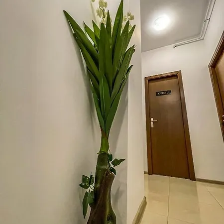 Lotus * Năvodari
